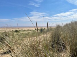 코티지 | 해변 | 근처 해변