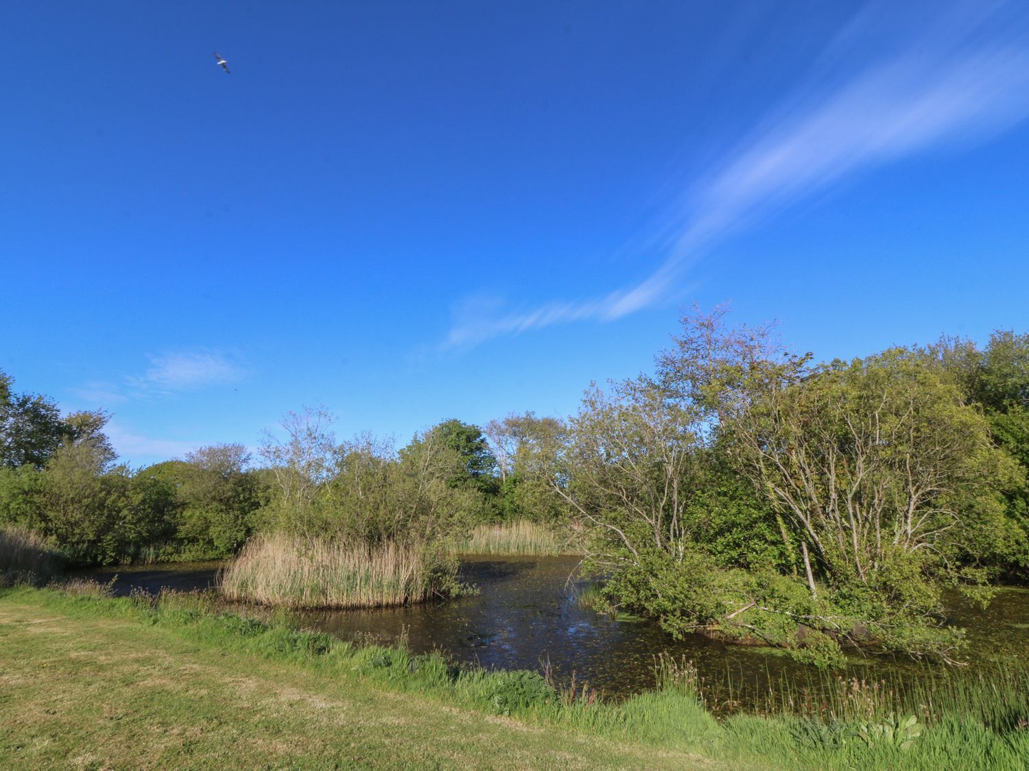 A natural landscape with a river, trees, and a clear sky.