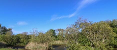 Eine natürliche Landschaft mit einem Fluss, Bäumen und blauem Himmel.