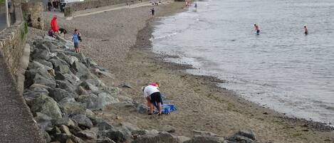 A coastal beach with a stone wall, beachgoers, and houses in the background.