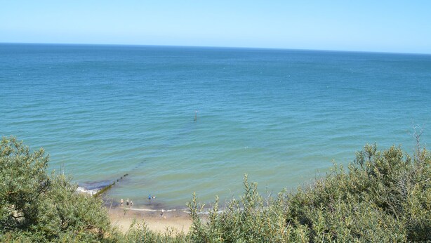 Una spiaggia con acqua cristallina, una riva sabbiosa e un po' di vegetazione sullo sfondo.