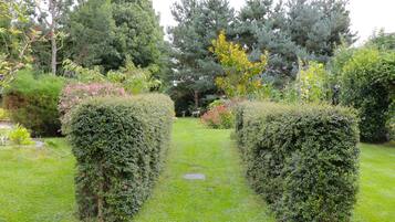 Un giardino curato con siepi ben potate, diverse specie di alberi e un sentiero ben definito.