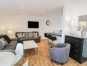 村舍 | 起居区 | 电视、DVD 播放器