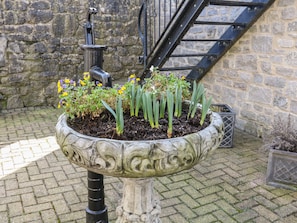 Plants thrive in this outdoor space, surrounded by a stone planter and a metal structure in the background.