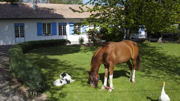 Jardin