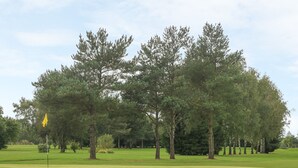 Ein Golfplatz mit Fahne, Bäumen und blauem Himmel.