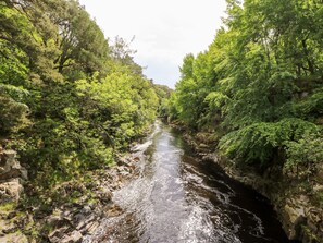 A river flowing through a forested area with rocky banks and dense greenery.