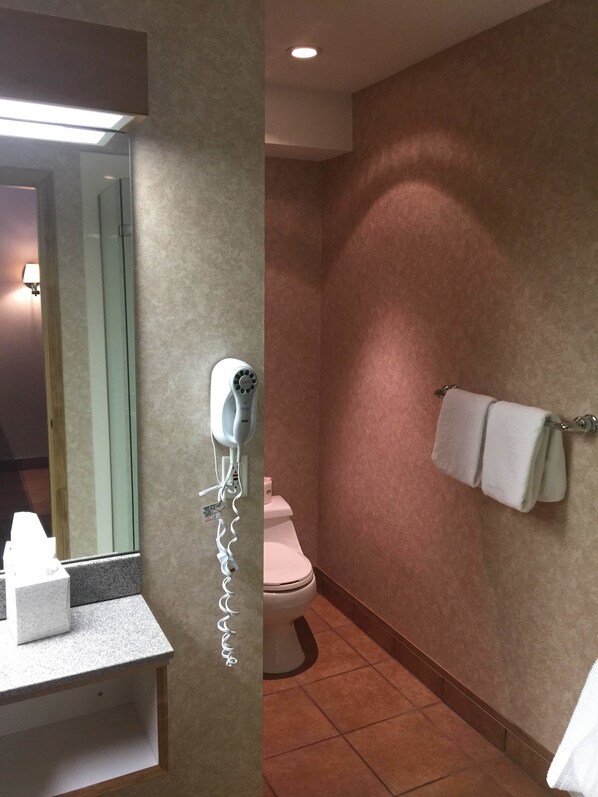 Een badkamer met een aan de muur bevestigde haardroger, een toilet en een handdoekhouder.