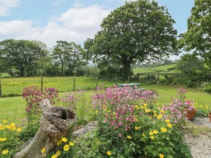 Cottage | Property grounds - The Shippon (Conwy)