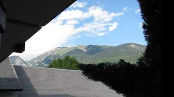 Standard Double Room | Mountain view