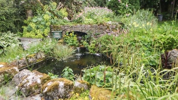 Un giardino con uno stagno, un ponte in pietra e un cartello che recita 'DEEP WATER'.