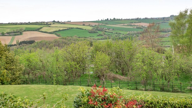 Ländliche Landschaft mit sanften, grünen Hügeln, einem eingezäunten Bereich und Bäumen.