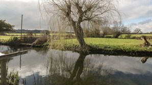 A tree by a calm river with a clear sky.