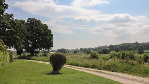 Paesaggio rurale con un sentiero sterrato, un cespuglio curato e un grande albero.