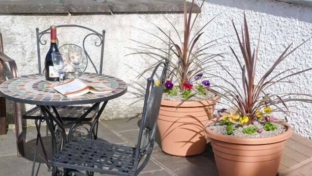 A round table with a metal chair, a bottle, and a menu. There are two terracotta pots with plants and flowers. - Swallows Nest (Coniston)