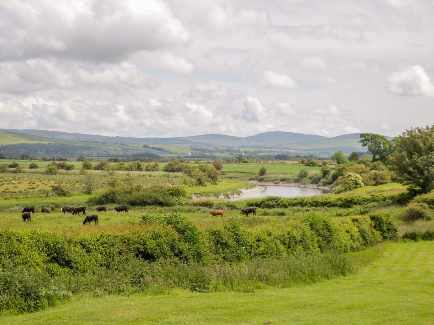 Paisagem rural com gado pastando, um rio e colinas suaves ao fundo.