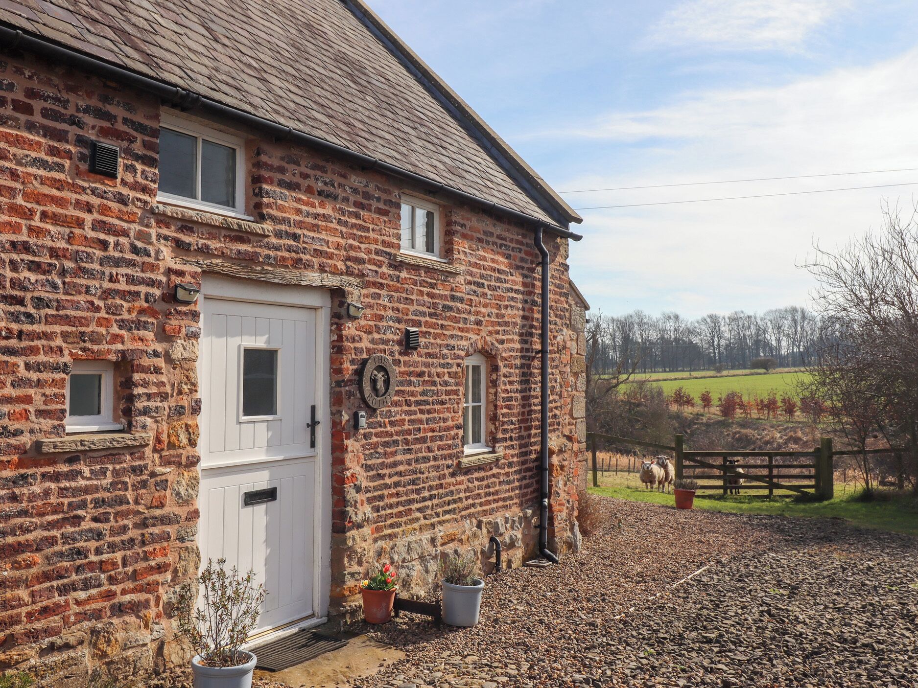 Feriehus | Udendørsområde