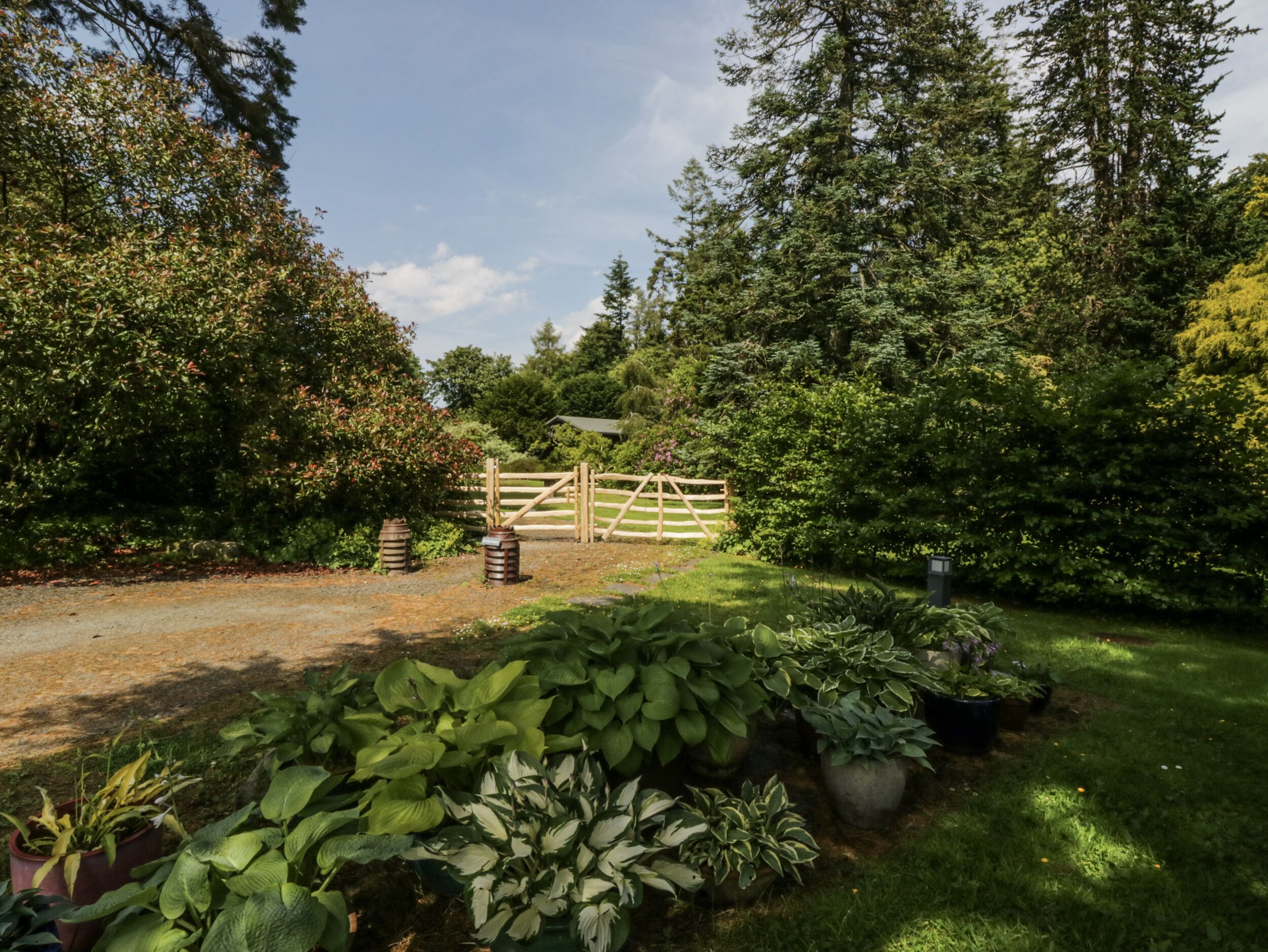 Ein Garten mit einem Holzzaun, verschiedenen Kübelpflanzen und dichten Bäumen.
