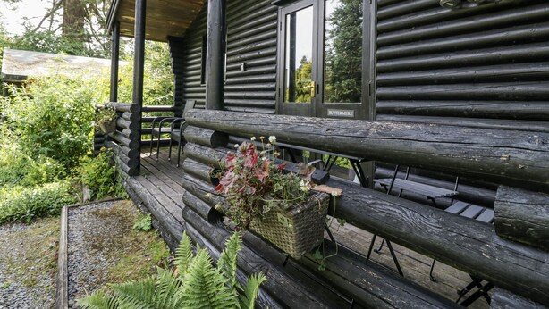 Une cabane en rondins avec une véranda, un banc et une fenêtre donnant sur les arbres.