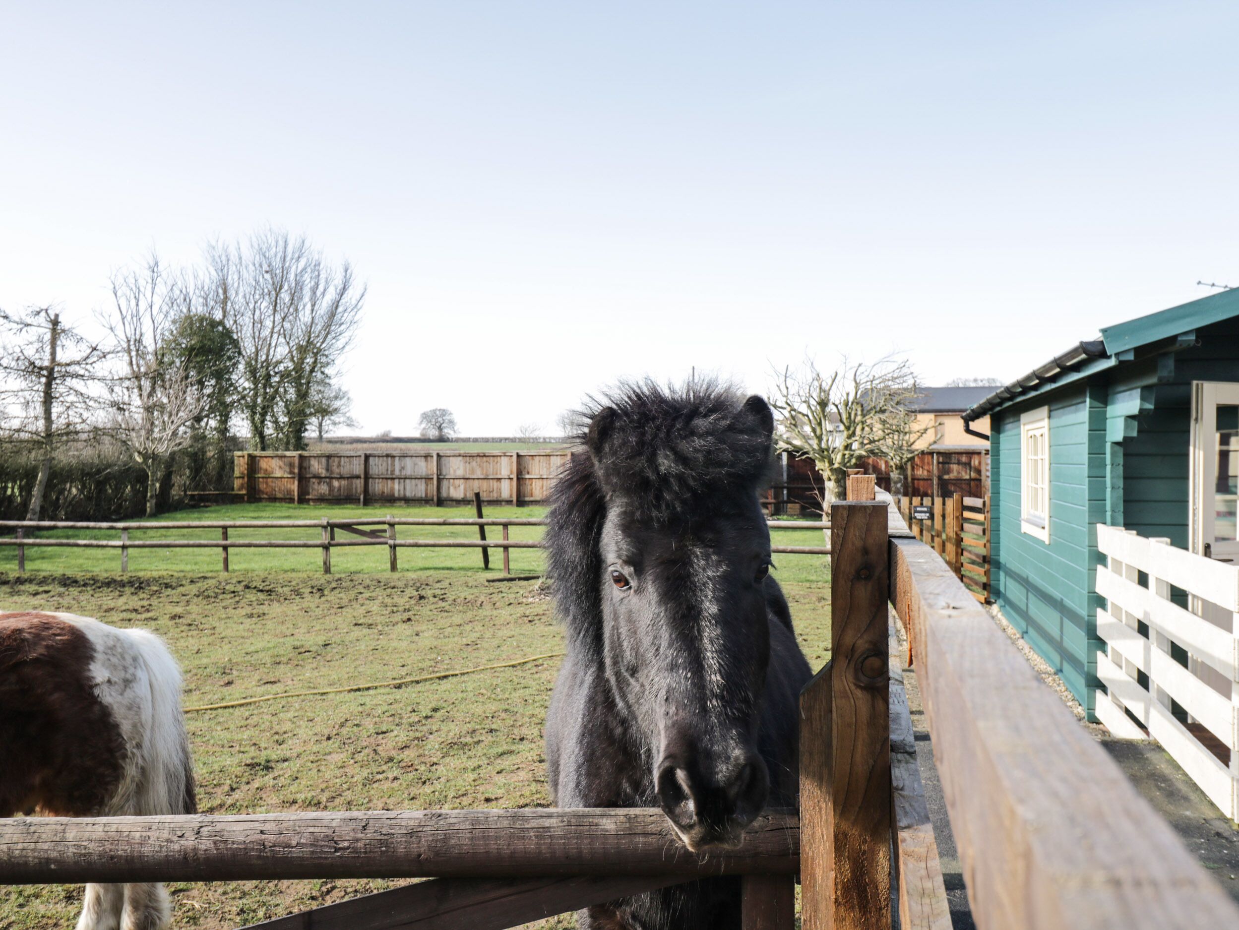A stable with a wooden fence and a green building in the background.