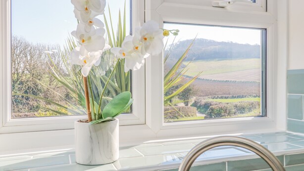 Ein Fenster mit Blick auf eine ländliche Landschaft, eine weiße Orchidee im Blumentopf und ein Metallwaschbecken.