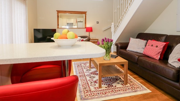 Un salon moderne comprenant un coin repas, un canapé en cuir marron, un fauteuil rouge, une table basse en bois et un saladier de fruits posé sur la table du coin repas.