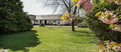 Ein grüner Innenhof mit einem Gebäude im Hintergrund, umgeben von Bäumen und blühenden Pflanzen.