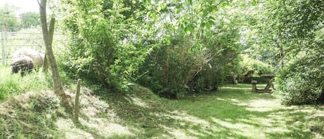 Parco della struttura