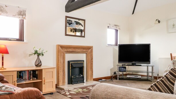 A cozy living room with a fireplace, a television, and a bookshelf. - The Granary (Henfield)