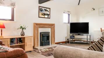 Televisión, reproductor de DVD