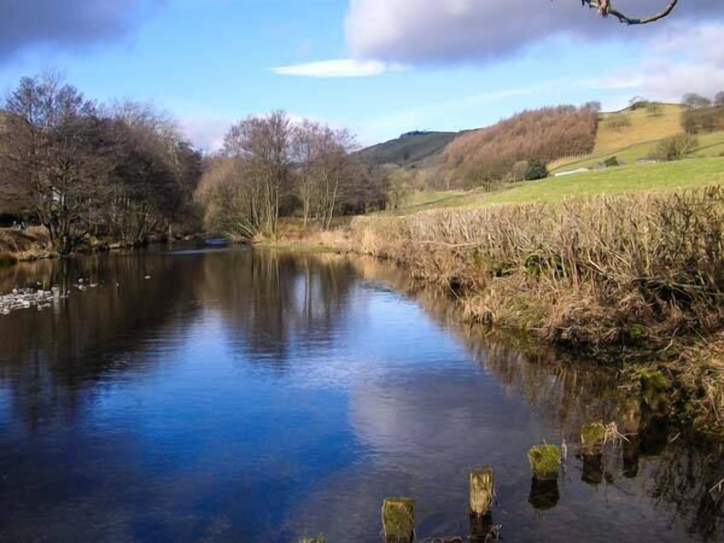 A calm river with trees and hills in the background.