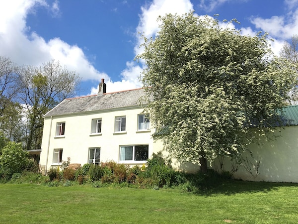 Marsh Cottage - North Devon