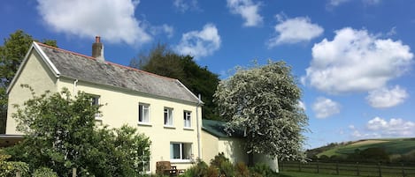 Cottage | Nội thất