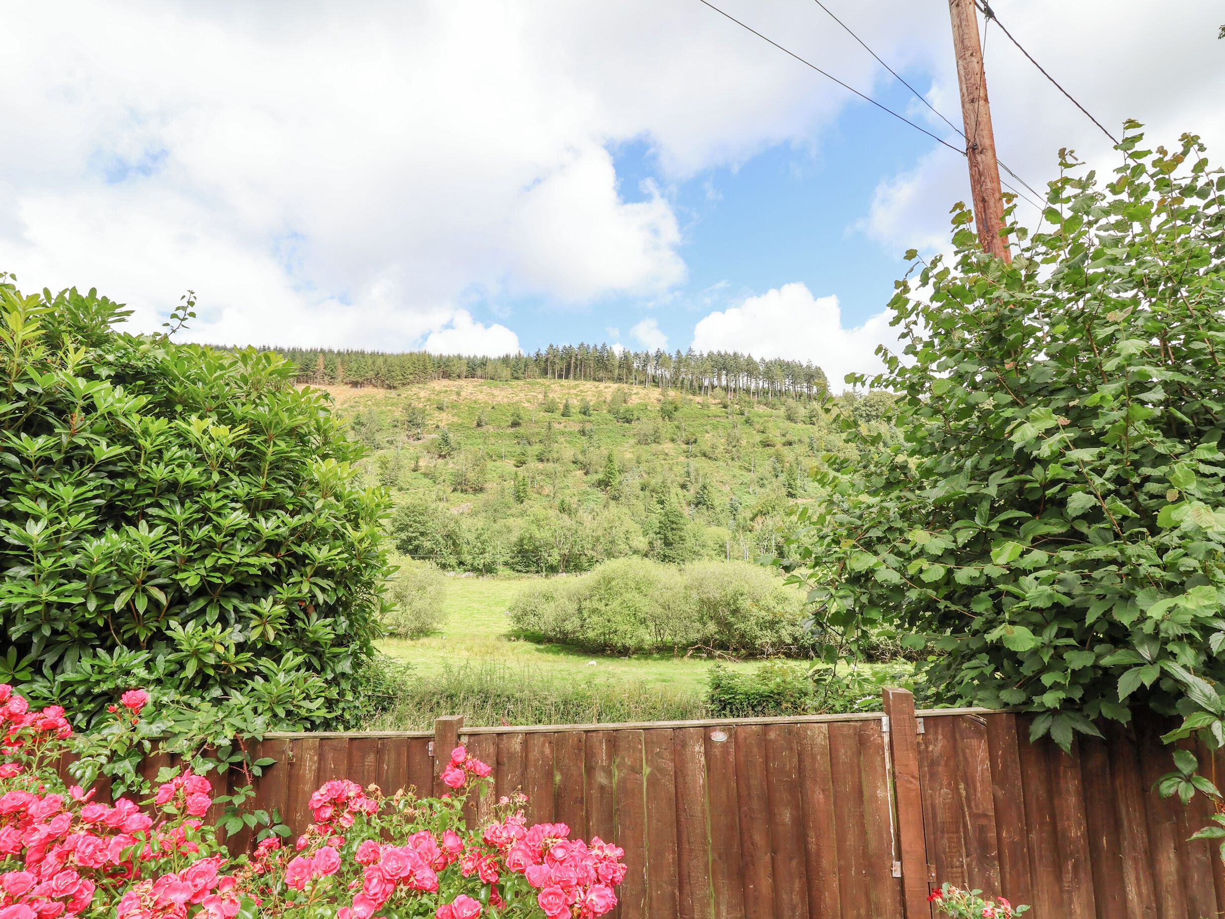 A wooden fence with a view of a green hill with trees and a clear sky.