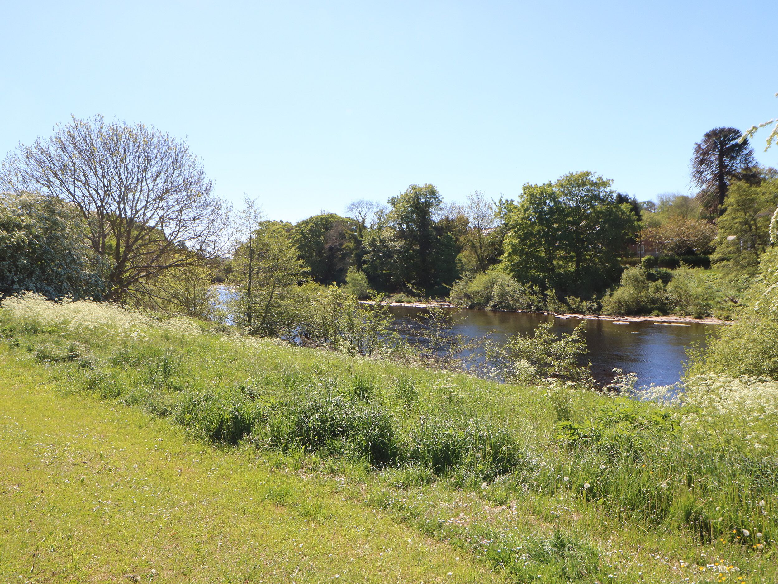 A natural landscape with a river, trees, and grassy areas.