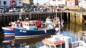 A harbor with boats docked, a pier with people, and buildings in the background. - Marina View (Whitby)