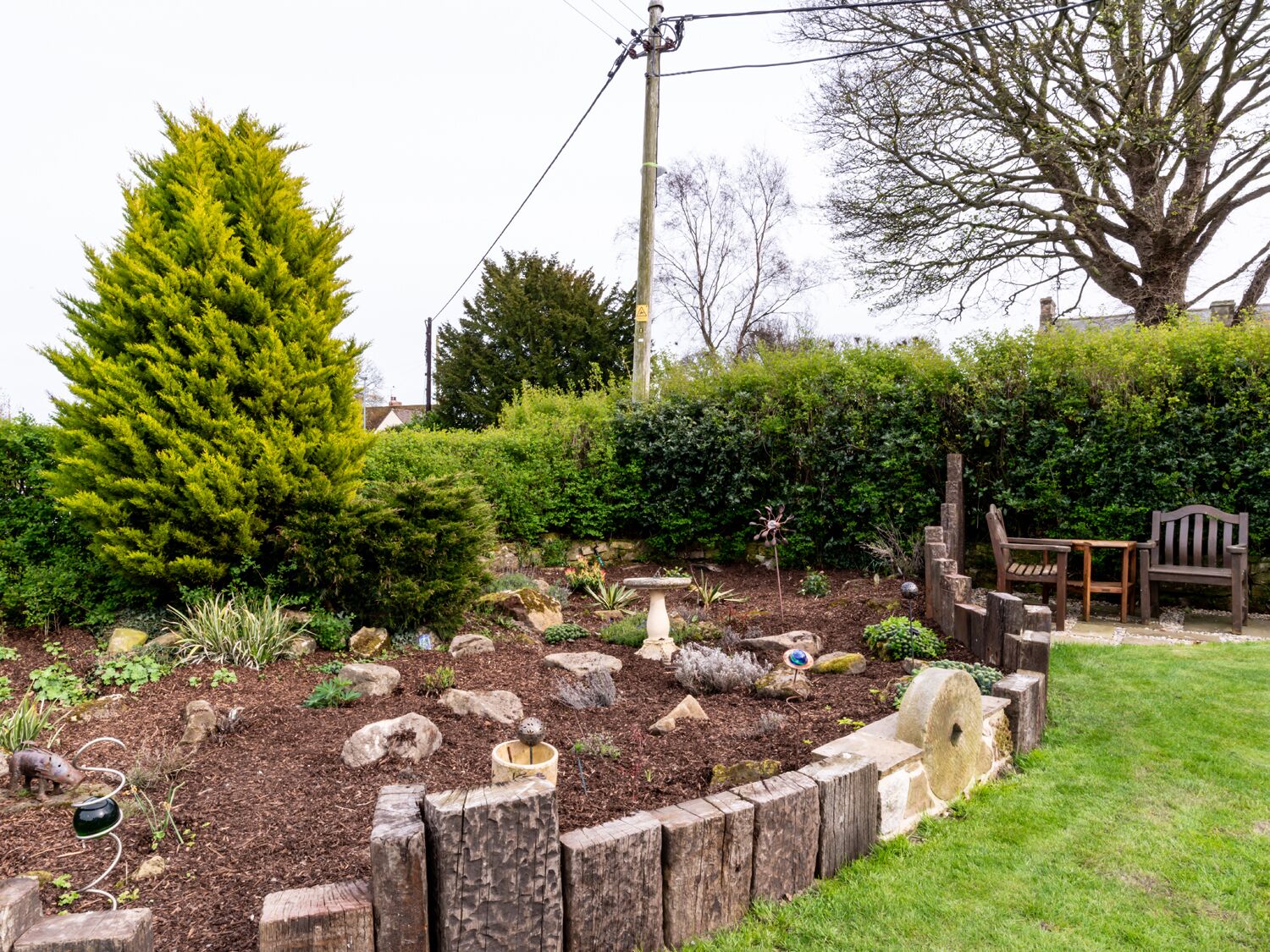 A garden with a wooden bench, a large coniferous tree, and a stone wall.
