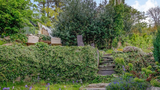 Un jardín con escalones de piedra, una estructura de madera y abundante follaje.
