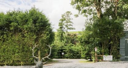Ash Lodge