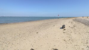 A beach with a dog, pebbles, and a distant ship. - The Old Dairy (Newport)