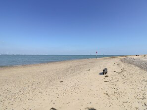 كوخ | المنشأة من الداخل