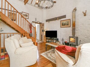 村舍 | 起居区 | 电视