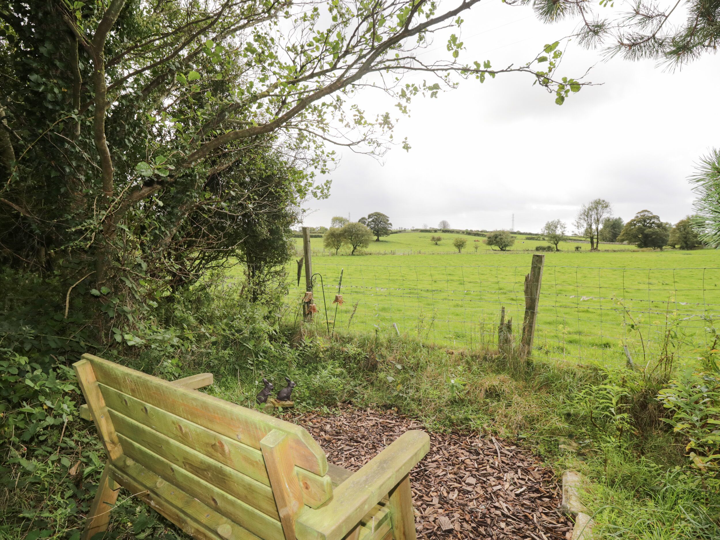 A wooden bench in a grassy field with a fence and trees in the background.