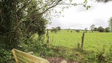 A wooden bench in a grassy field with a fence and trees in the background.