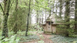 A rustic wooden cabin nestled in a forest. - The Cottage at Graysondale Farm (Cockermouth)