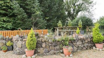 Chaumière | Terrain de l’hébergement