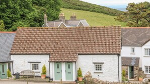 A traditional stone house with a tiled roof, a small front garden, and a view of a green hill. - Wren Cottage (Ilfracombe)