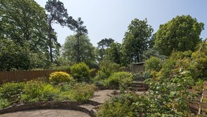 Un jardín con senderos de piedra, diversas plantas y una valla de madera.