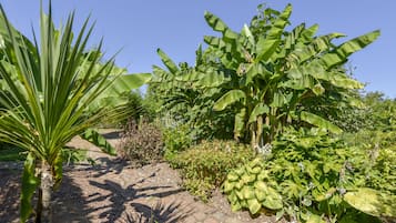 Cottage | Property grounds