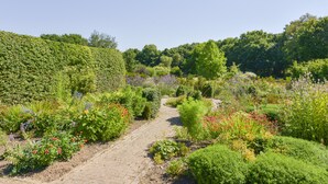 Un sendero en un jardín, con diversas plantas y flores.